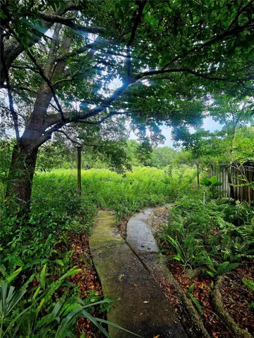View towards where the pond was.