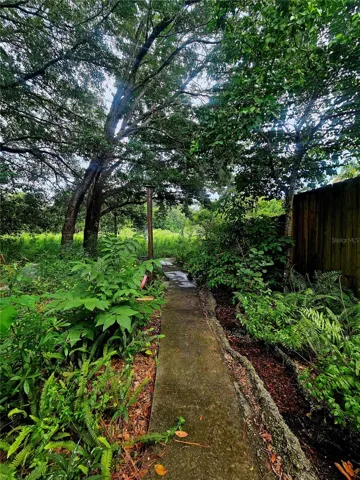 Path to the pond.