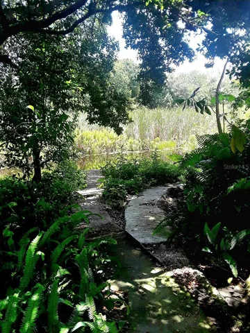 The pond in the past.