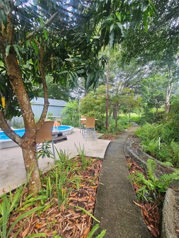 Pathway to the pond.