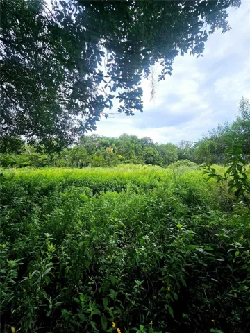 View of what was once the pond.