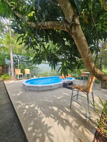 Mango tree.