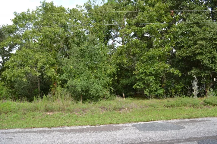 Street view center