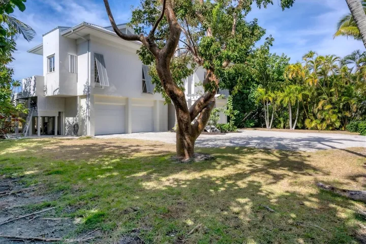 Front and side yard.