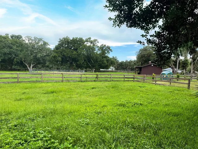 3 pastures