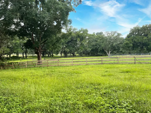 large oak trees