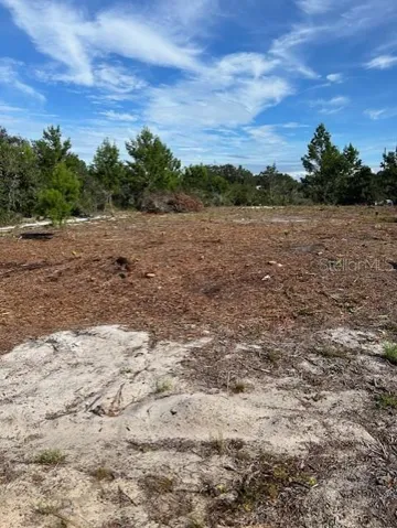 Lot cleared as of 10/1/2024