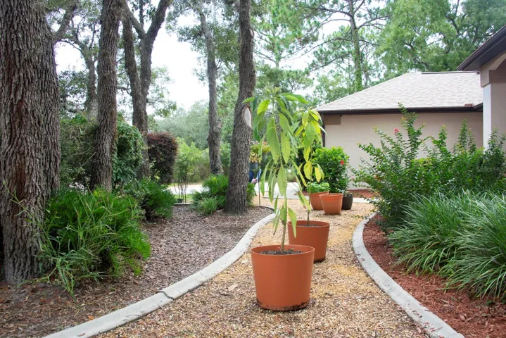 Zeriscaped front yard