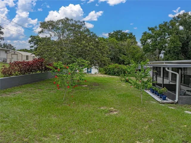 Landscaped backyard