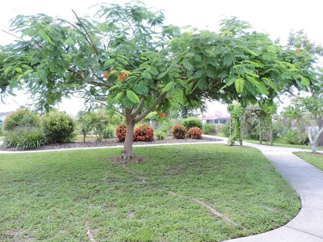 Beautiful Garden
