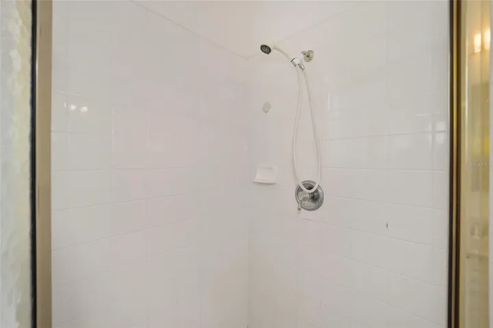 Shower with grab bar