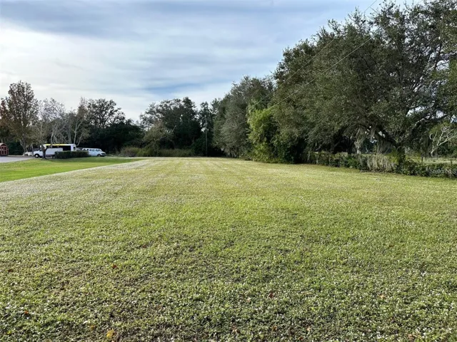 CLEAR FRONT HALF OF THE LOT