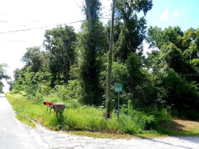 Corner Lot