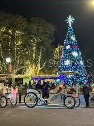 Holiday tree & tour carriage