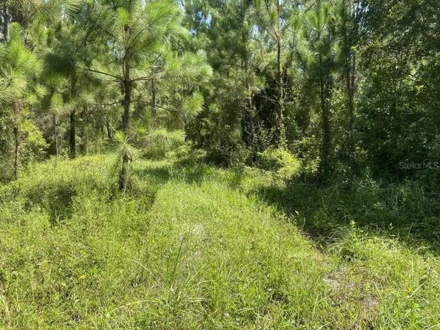 1170