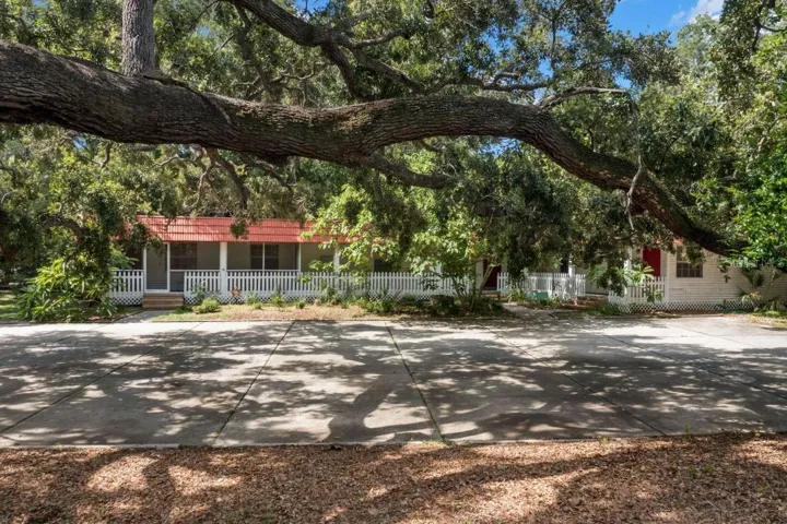 Majestic Oak Tree