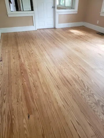 3.1.2025 refurbished floors downstairs. (Primary BR)