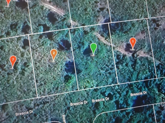 Green dot is the land for sale