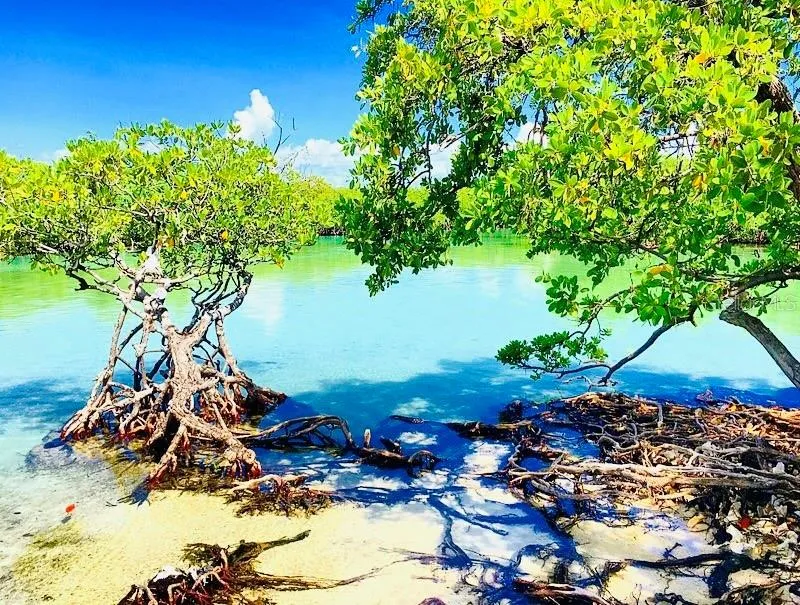 Guillian Island
