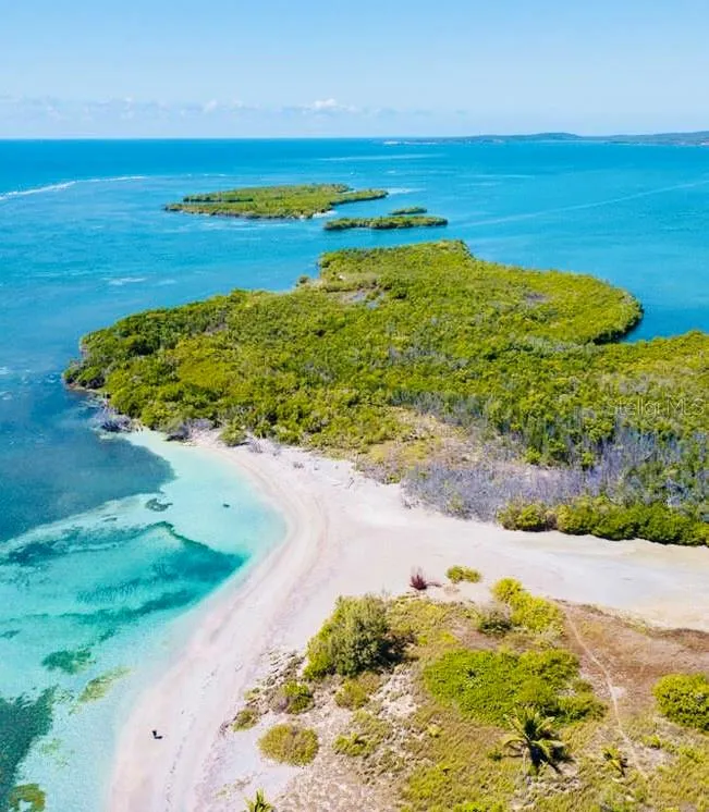 Playa Ballena "Bahía de las Ballenas" is part of the Forest Reserve and the Biosphere of the State of Guánica. Playa Ballena is a long beach ideal for those who love walking along the beach, kayaking on the beach