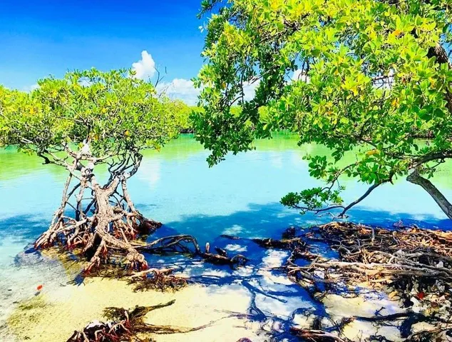 Guillian Island