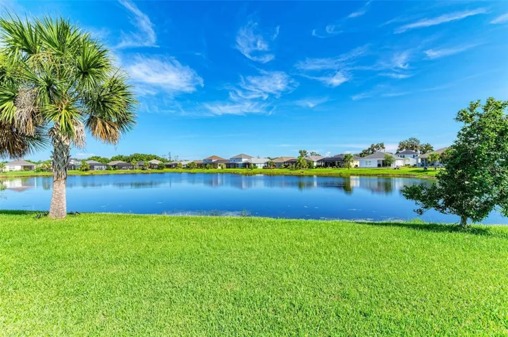 Beautiful backyard