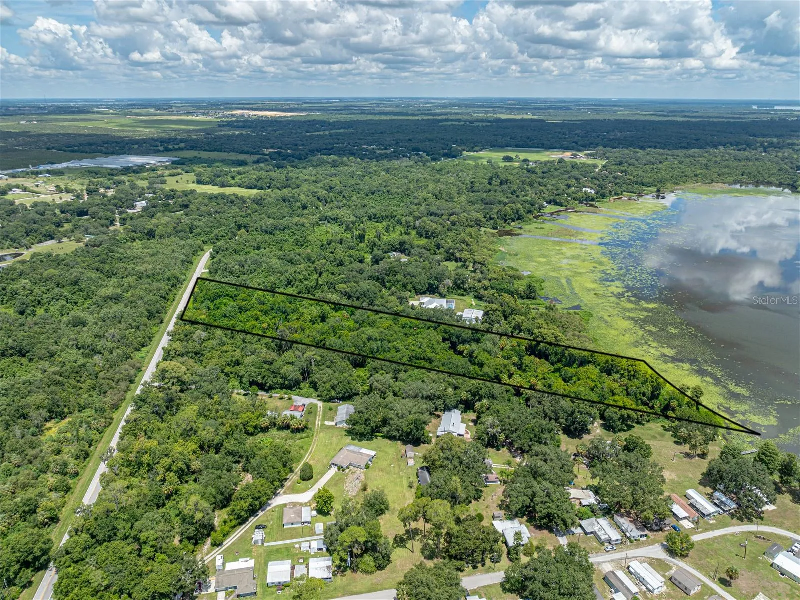 Beautiful secluded 6.32 acres on Lake Pierce in Lake Wales, Florida.