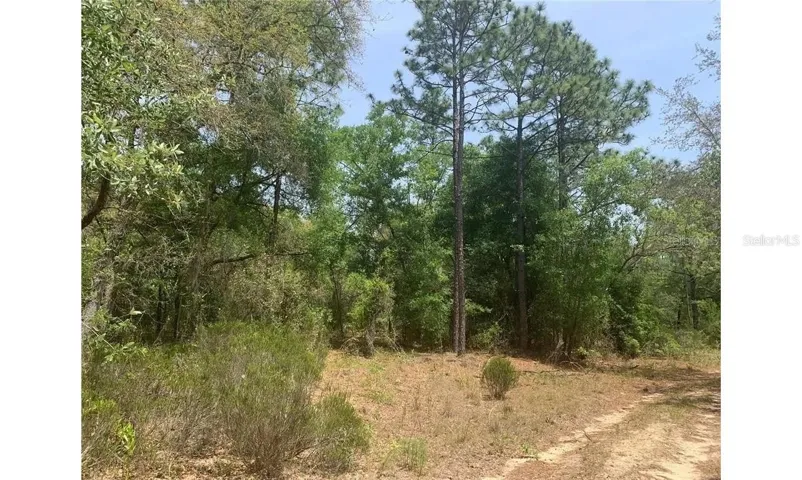 1 Acre Lot to Build Your Dream HOME On Today!