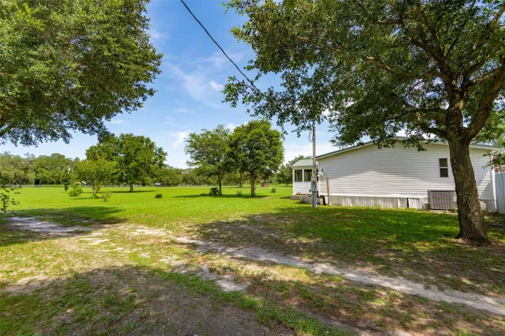 yard view