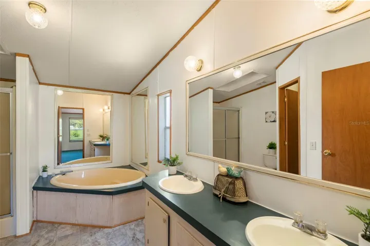 master bath tub w/separate shower