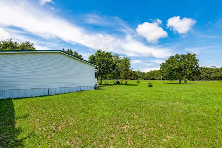 yard view