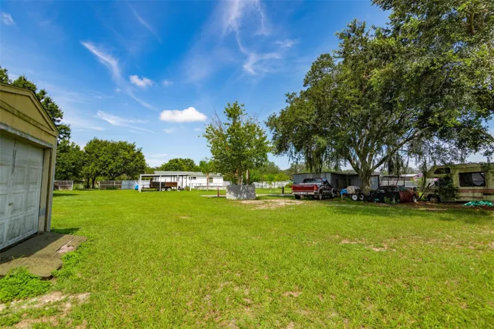 yard view