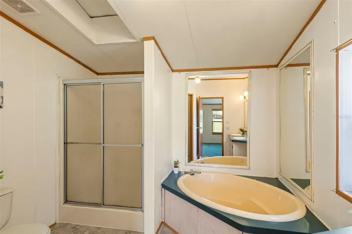 master bath soaking tub. & shower