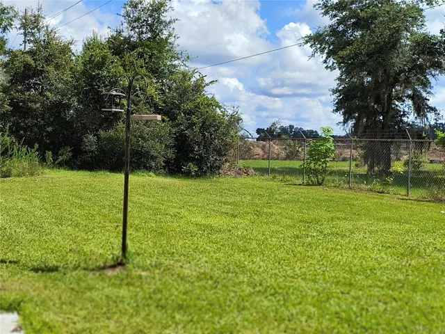 Beautiful Back Yard