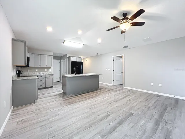 Living room and kitchen