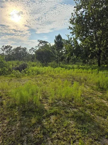 From house pad facing road gate