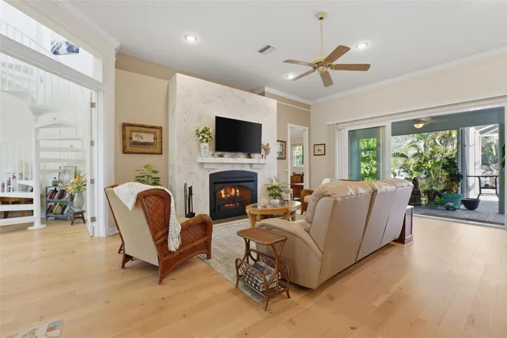 Living Room and Fireplace
