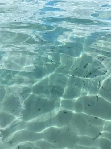 Secret Lake swimming spot
