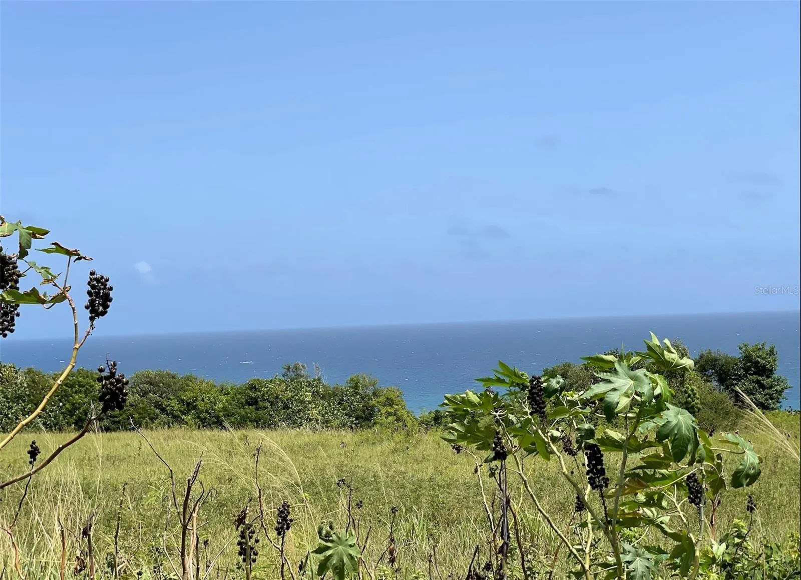 Ocean view