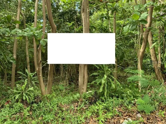 1170