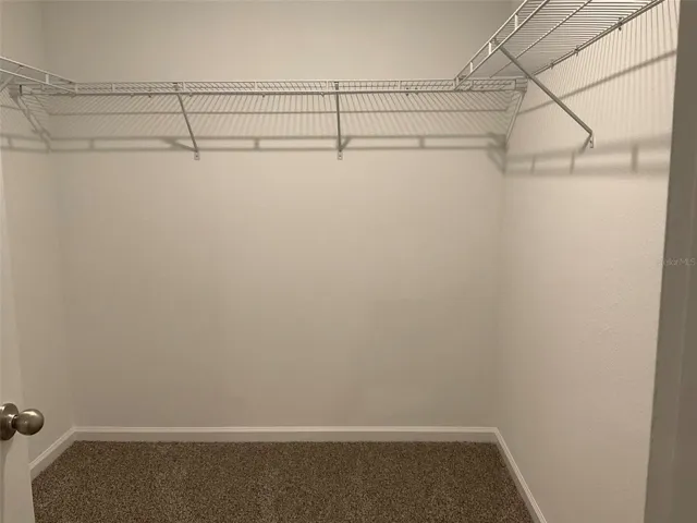 Primary Bedroom / Walk in Closet