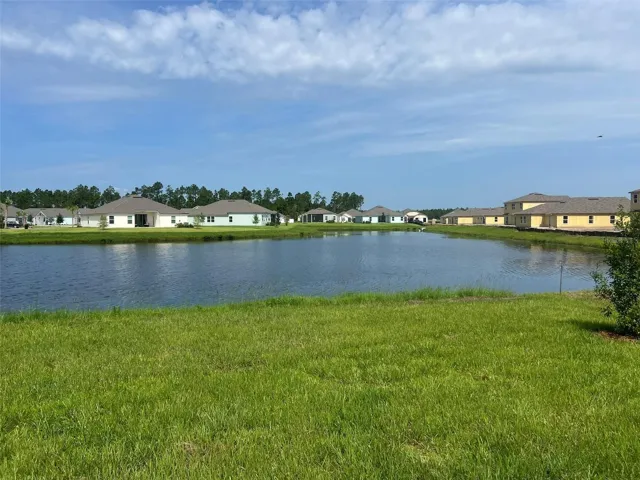 View from the Back Yard