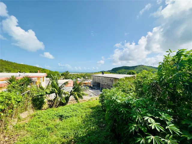 Patio from the top
