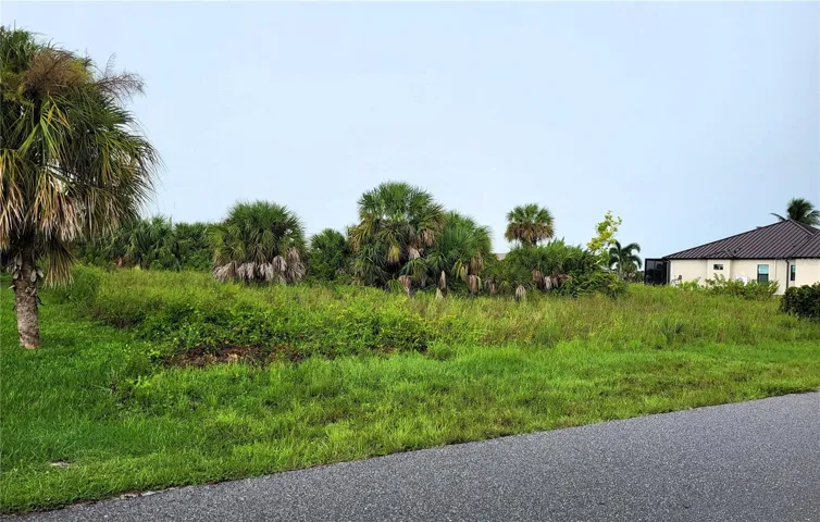 Street view of the lot from the southern corner.