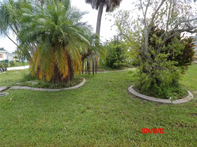 Trees and Landscaping left for privacy