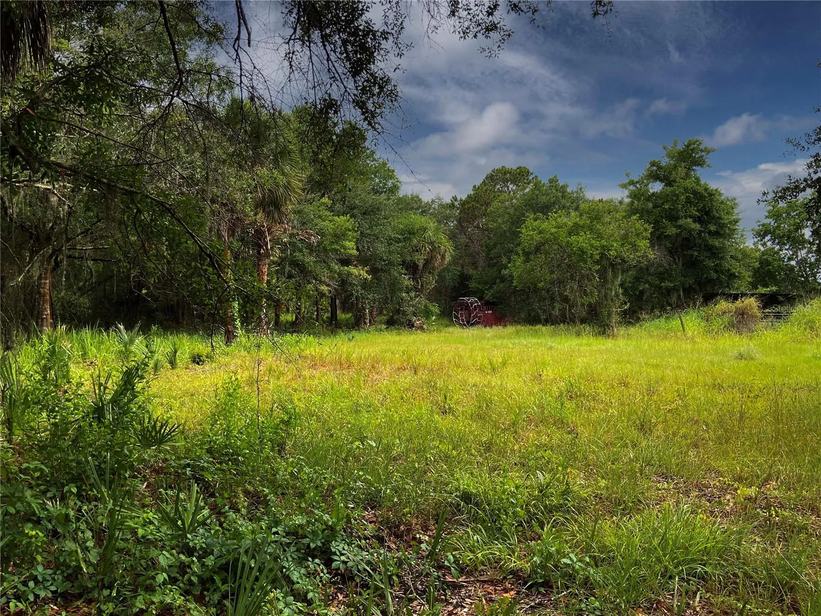 cleared road frontage
