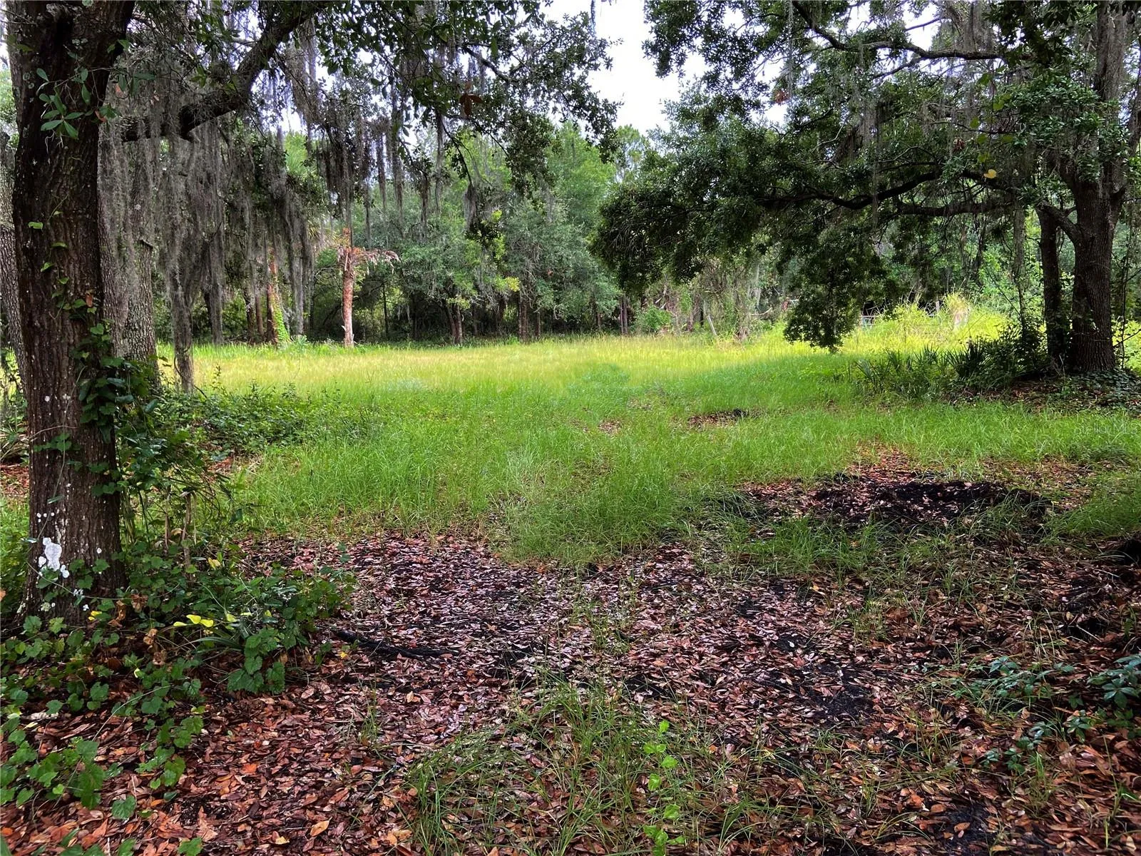 5 acres of cleared Land