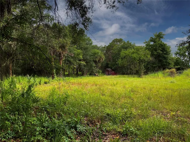 cleared road frontage