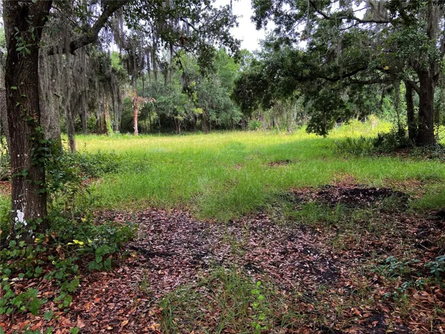 5 acres of cleared Land