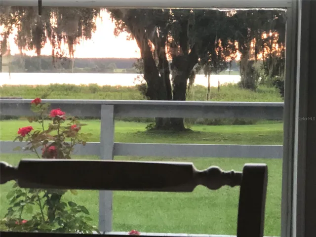 view from dining room table